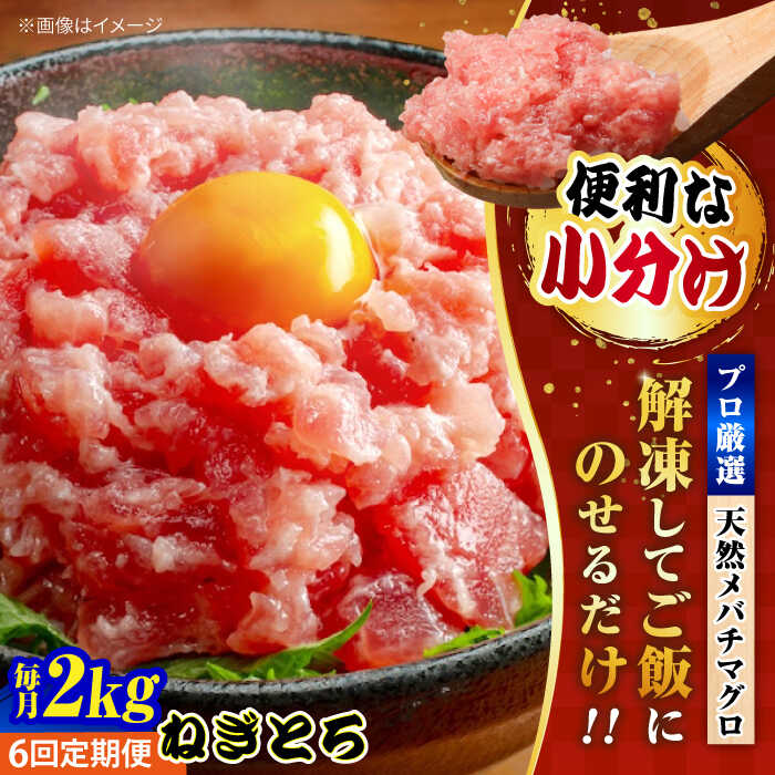 【ふるさと納税】【全6回定期便】まぐろ ねぎとろ 約2kg（約250g×8パック） 鮪 マグロ 魚 ネギトロ 横須賀【本まぐろ直売所】[AKAK039]