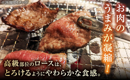 A5ランク 佐賀牛 高級 霜降り 焼肉用 ロース 430g 2人前 /焼肉どすこい [UCC014] 佐賀牛 牛肉 黒毛和牛 佐賀牛焼肉用 佐賀牛BBQ 佐賀牛430g 佐賀牛ロース 佐賀牛霜降り 佐