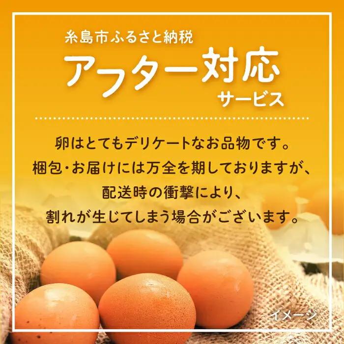 【全3回定期便】卵 30個×3ヶ月 てつやとのりこの玉子 卵 たまご [AWD006]