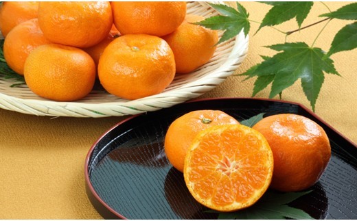 
                  佐賀県産ハウスみかん 1kg 226-B1021
                