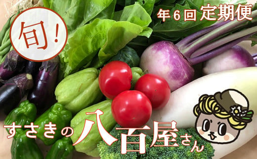 
            【2025年2月より順次発送】 定期便 6回 偶数月発送 野菜 7～8品目 南国土佐の新鮮お野菜 詰め合わせ お楽しみ セット 数量限定 詰め合わせ 季節 新鮮 産地直送 高知県 須崎市 頒布会 ほうれん草 ブロッコリー ニンジン 人参 じゃがいも 白菜 キャベツ 小松菜 ピーマン ししとう タマネギ オクラ なす ネギ さつまいも 里芋 にんにく きゅうり しょうが 生姜 NK3000-x2
          