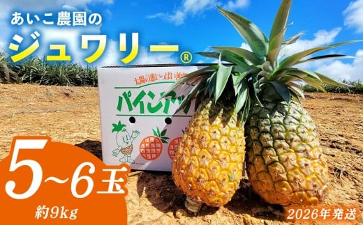 あいこ農園のジュワリー　5～6玉（約9kg） 2026年発送 沖縄県産 東村 パイナップル ジューシー 希少 高級フルーツ 南国フルーツ 国産フルーツ 農家直送 パイン 果物 贈り物 おすすめ お土産 人気 やんばる 大自然 南国気分 沖縄本島北部