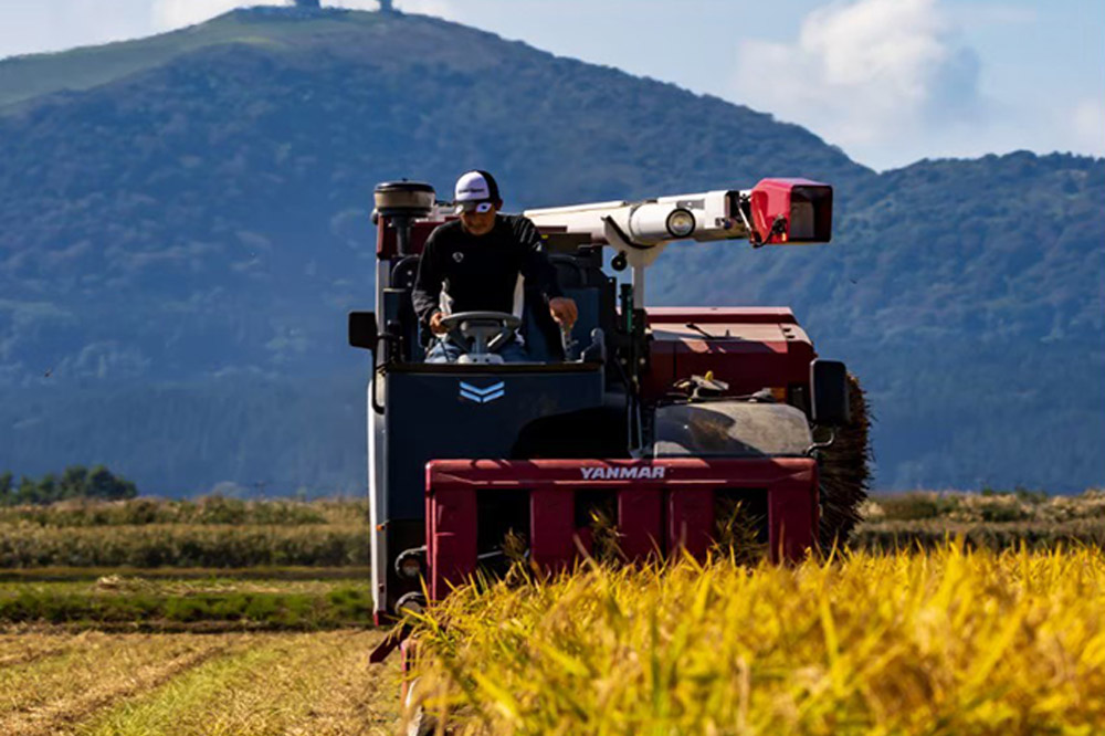 【先行受付】令和7年産 あきたこまち 精米 単一原料米 10kg（5kg×2袋）秋田県 男鹿市