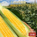 【ふるさと納税】うちの子野菜　朝採れスイートコーン　10本 とうもろこし コーン セット　 夏野菜 とうもろこし 旬の野菜 みずみずしい BBQ 炊き込みご飯 かき揚げ 安心 安全 　お届け：2024年7月上旬～2024年7月下旬まで