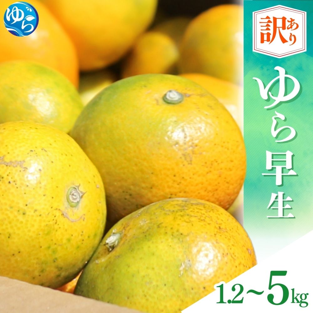 【ふるさと納税】 訳あり ゆら 早生 みかん / 温州みかん 和歌山 わけあり 甘い 柑橘 由良 1.2kg 5kg ※2025年10月中旬～順次発送