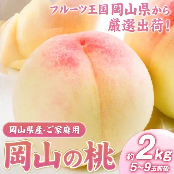 【2027年発送】 桃 岡山の桃 約2kg