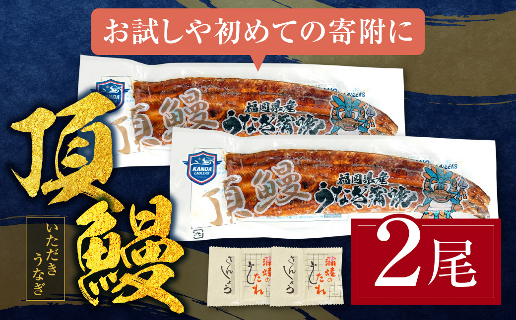 【2026年 丑の日 先行予約】頂鰻 福岡県産うなぎの蒲焼 2尾セット