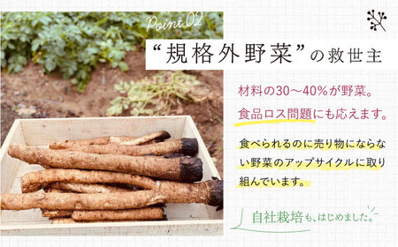 【6回定期便】 やさいのカリカリ 8袋＜村の菓子工房＞ [CAH003]