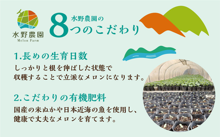 【先行予約】2026年7月お届け  タカミメロン 2玉 水野農園 メロン