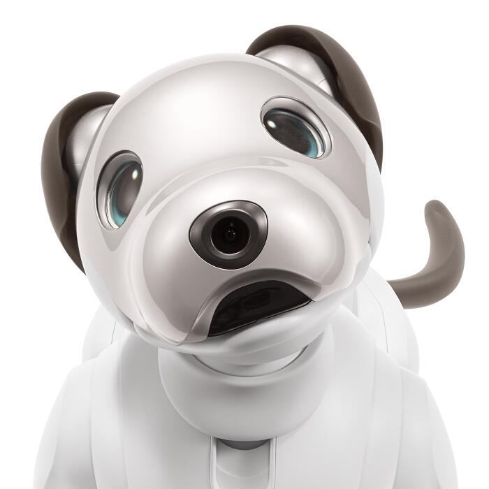 【ふるさと納税】aibo 自律型エンタテインメントロボット(カラー：アイボリーホワイト)　【令和2年度　全国発明表彰「内閣総理大臣賞」受賞】アイボ