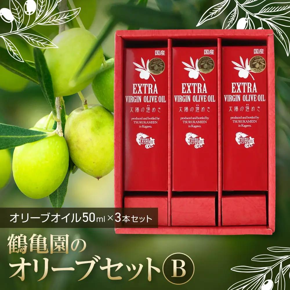 鶴亀園のオリーブセットB