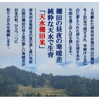ふるさと納税 南魚沼市 とやの里山継承プロジェクト対象【天水棚田米】雲海望む山間地産こしひかり精米5kg |  | 01