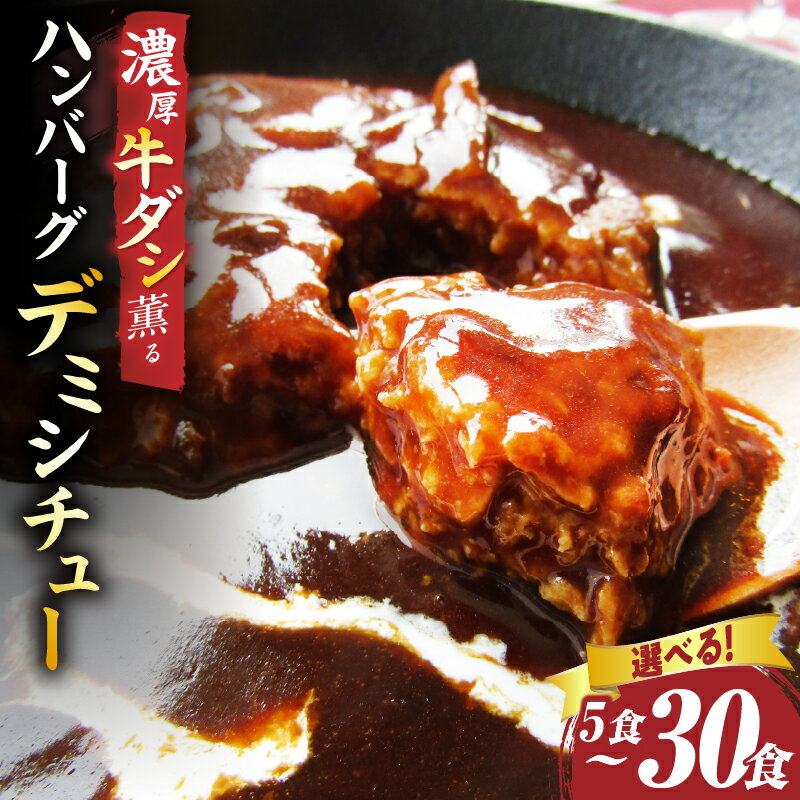【ふるさと納税】【選べる内容量】ハンバーグデミシチュー 5食セット~30食セット ハンバーグ デミシチュー シチュー 濃厚 牛スジ ダシ ジューシー 旨味 濃厚デミ 特製 冷凍 香川県 三木町 おすすめ