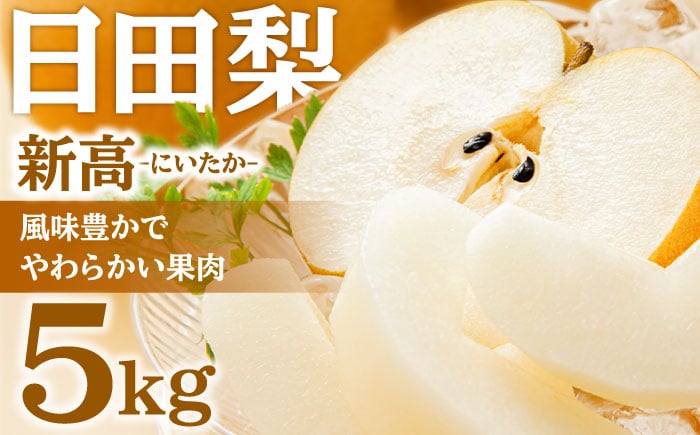 
            【先行予約・26年9月以降発送】日田梨 新高 5kg 日田市 / 日田梨協同組合　梨  なし 新高[ARBB004]
          
