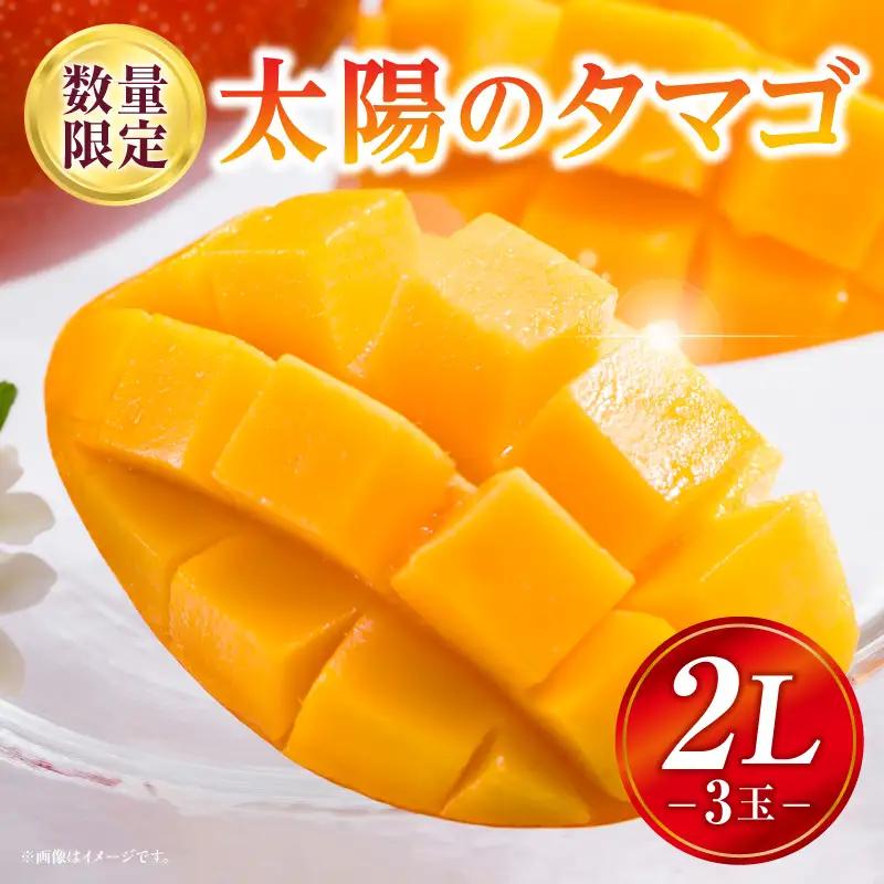 太陽のタマゴ マンゴー 太陽のタマゴ[2L 3玉 1.05~1.3kg]