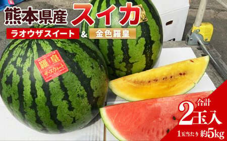 熊本県産スイカ ラオウザスイート＆金色羅皇 2玉 果物 フルーツ 西瓜 すいか スイカ 大玉 大玉スイカ 大玉すいか 常温 熊本県産 【2026年5月上旬発送開始】