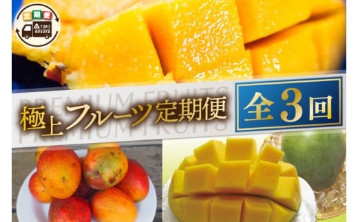 
                  【2027年6月より順次発送】【3ヶ月定期便】豊見城 極上フルーツ定期便(6・7・8月コース)｜フルーツ くだもの 果物 マンゴー アップルマンゴー キーツマンゴー 名護パイン園 定期便 フルーツ定期便 先行予約 沖縄県 豊見城市(AC022)
                
