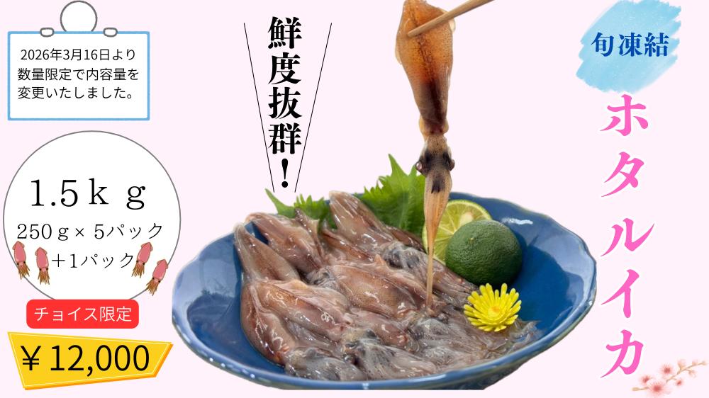 
                  【チョイス限定】旬凍結ホタルイカ　約250g×5パック＋1パック
                