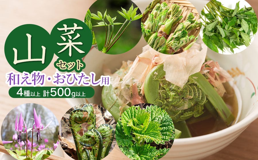 
            【令和8年発送】山菜セット和え物、おひたし用（4種以上）　野みつば、かたくりの花、水ふきなど　計500g以上　グレイスファーム
          
