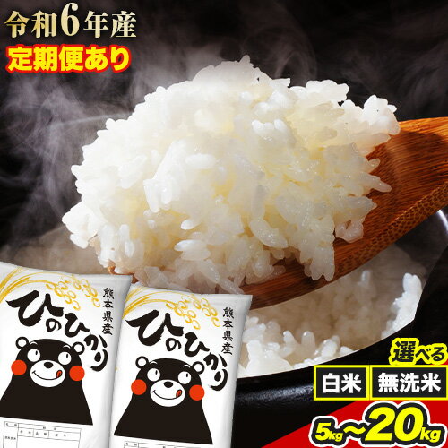 【ふるさと納税】 【生活応援】令和6年産 白米 無洗米 選べる ひのひかり 5kg 10kg 15kg 20kg 定期便《7-14日以内に出荷予定(土日祝除く)》 熊本県産 無洗米 白米 精米 氷川町 ひの 送料無料 ヒノヒカリ コメ 便利 ブランド米 お米 おこめ 熊本