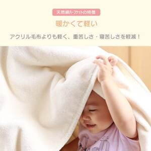 【訳あり】【同色2枚セット】 ひざ掛け ベージュ 大判 ハーフケット 毛布 コットン100%【1607536】