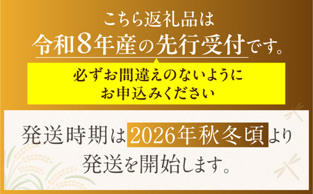 【先行予約】令和8年産 [定期便] 柿 2食べ比べ 合計約3kg 陽豊柿 富有柿 2L ～ 3Lサイズ 各5-6個 入り《11月上旬より収穫でき次第発送 かき お楽しみ フルーツ カキ 果物 くだもの