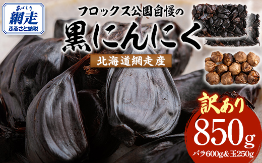 【先行予約】【訳あり】フロックス公園自慢の黒にんにく（2025年8月より発送予定） ABBJ001