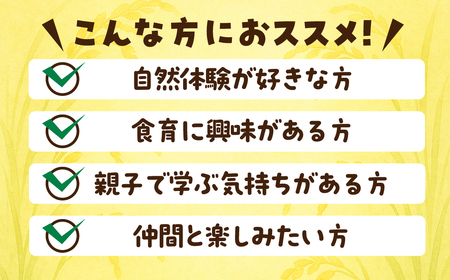 米作り体験コースＡ（稲刈り、収穫祭、餅つき） 米作り 手作業 無農薬 体験 お米 米 親子 イベント 自然 自然体験