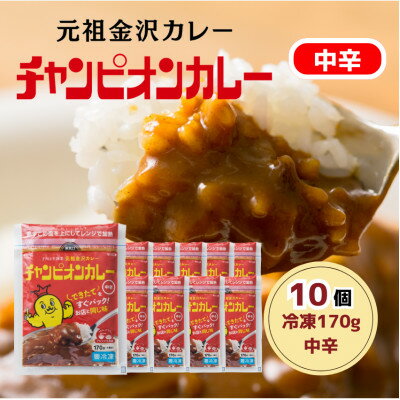【ふるさと納税】冷凍170g中辛10個セット【配送不可地域：離島】【1739394】