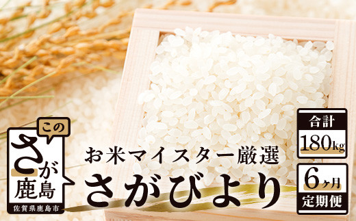 《 6ヶ月 定期便 》 佐賀県産 さがびより 白米 （毎月30kg × 6回） V-2