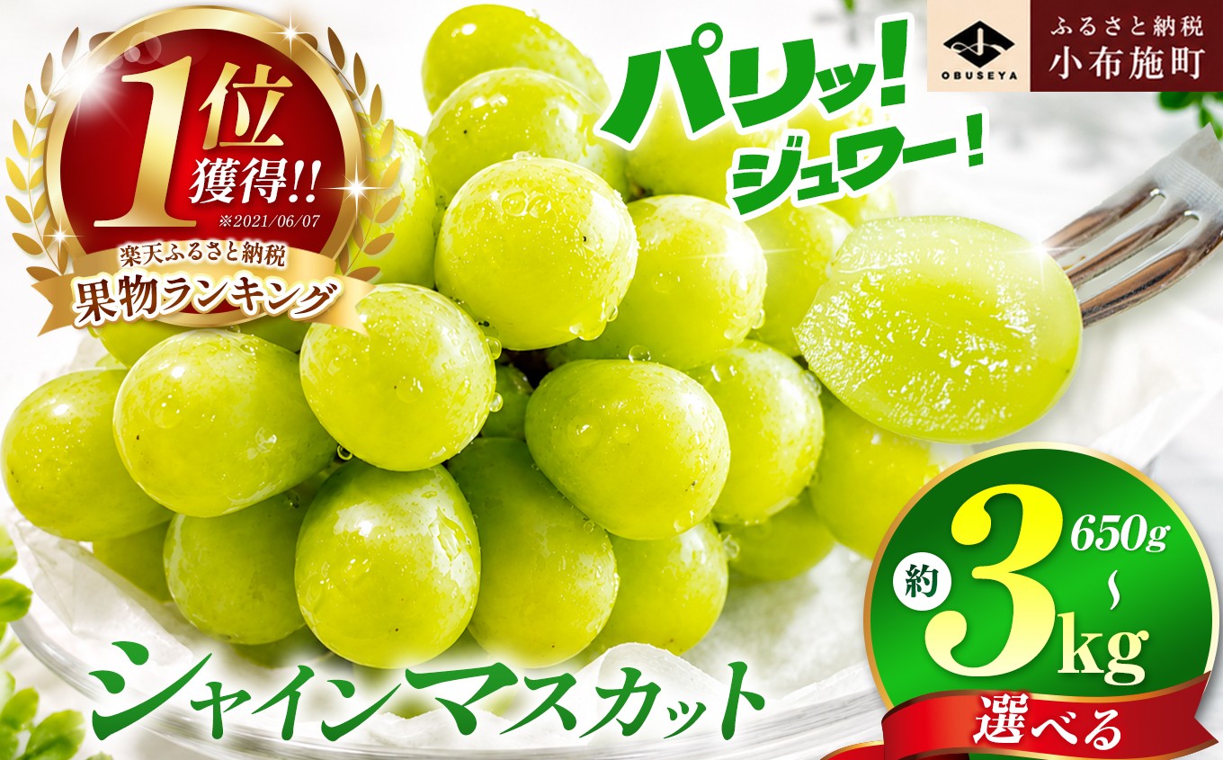 
                  先行受付 シャインマスカット 約650g 約1.1kg 約1.4kg 約2kg 約3kg 選べる内容量 ［小布施屋］ フルーツ 果物 くだもの ぶどう 葡萄 ブドウ 数量限定 クール便配送 長野県産 産地直送 先行予約 2026年発送 令和8年産 【2026年9月下旬～10月上旬発送】
                