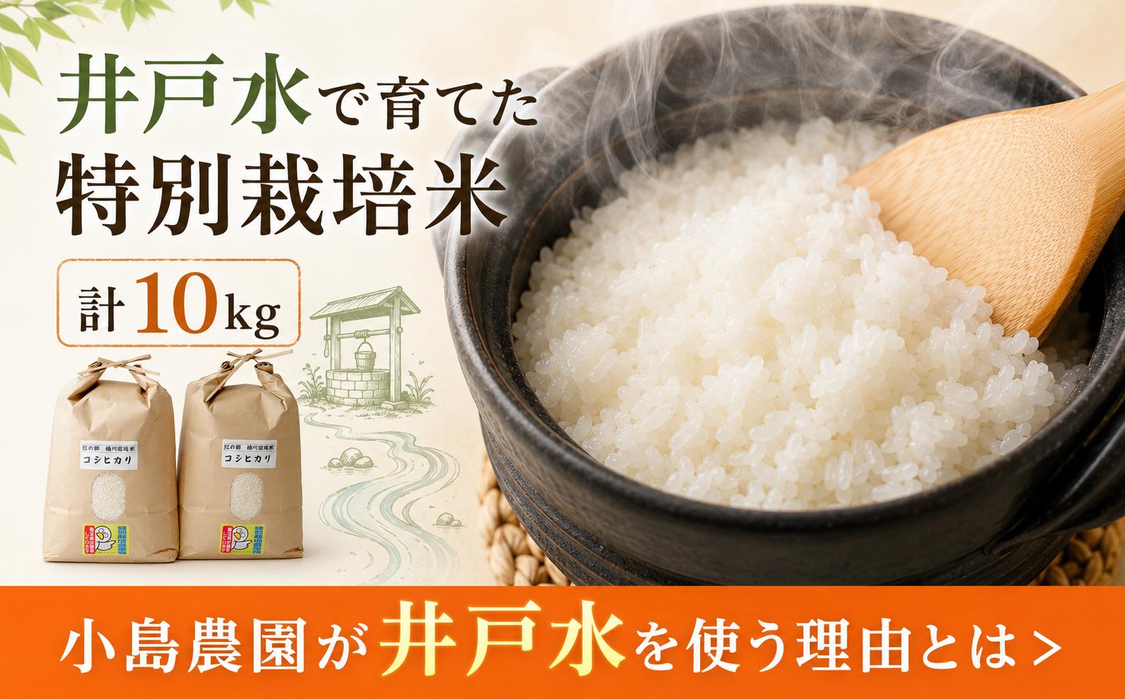 小島農園の桶川市産・特別栽培米のコシヒカリ。井戸水で育てたお米です。