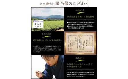 【全6回毎月定期便】八女星野産 玉露ティーバッグ2.5g×100個【八女茶】