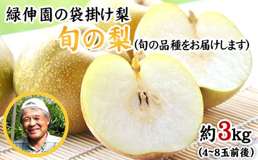 『緑伸園』の旬の梨 約3kg《8月中旬-9月下旬頃出荷》 旬の品種をお届け   4-8玉前後入り 梨 旬 豊水 あきづき 新高