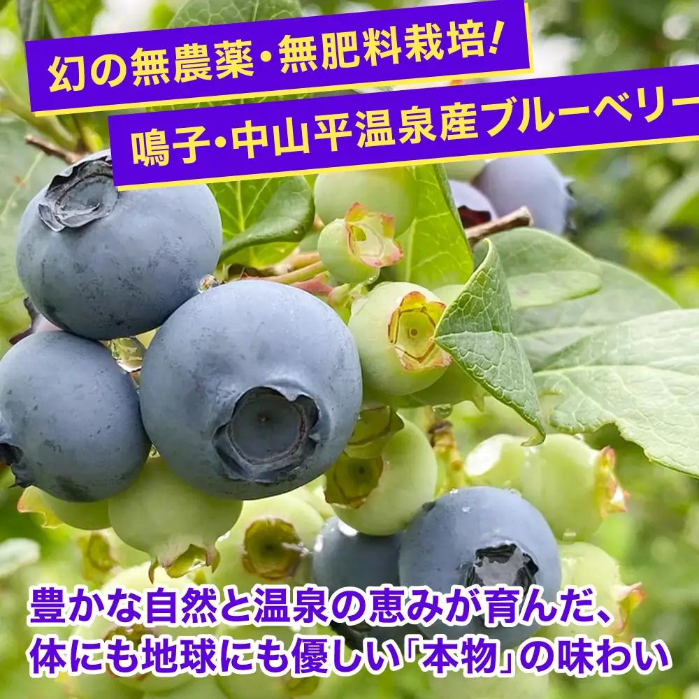冷凍ブルーベリー 1kg [ku001-1kg] ベリー