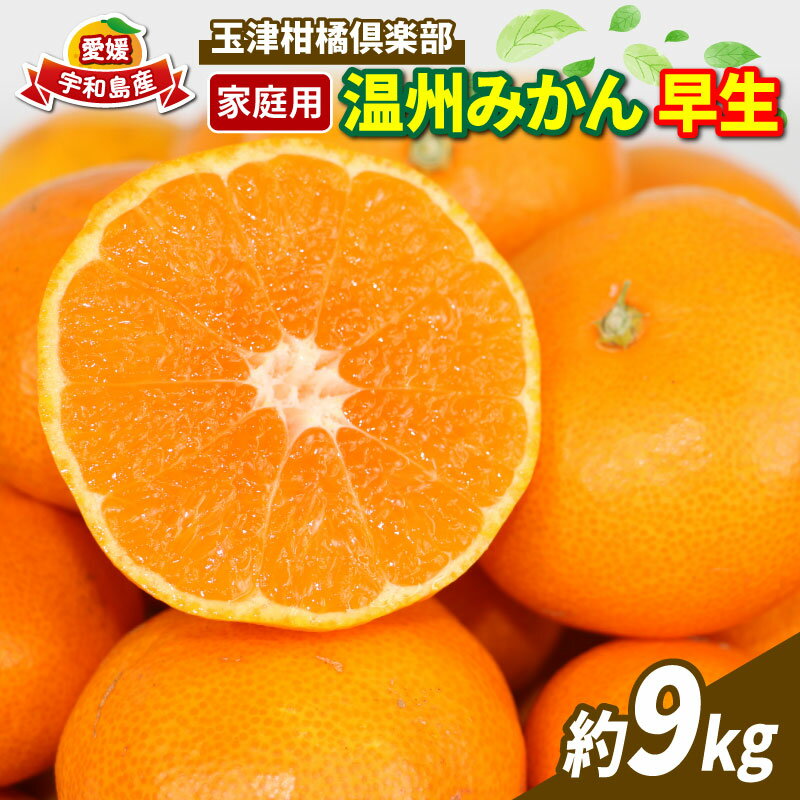 【ふるさと納税】 早生みかん 温州みかん 早生温州 9kg 家庭用 玉津柑橘倶楽部 早生 うんしゅう 愛媛みかん 愛媛蜜柑 愛媛ミカン 玉津 みかん mikan 予約受付 果物 フルーツ 柑橘 濃厚 甘い 甘味 蜜柑 産地直送 農家直送 数量限定 国産 愛媛 愛媛県産 宇和島 B010-072001