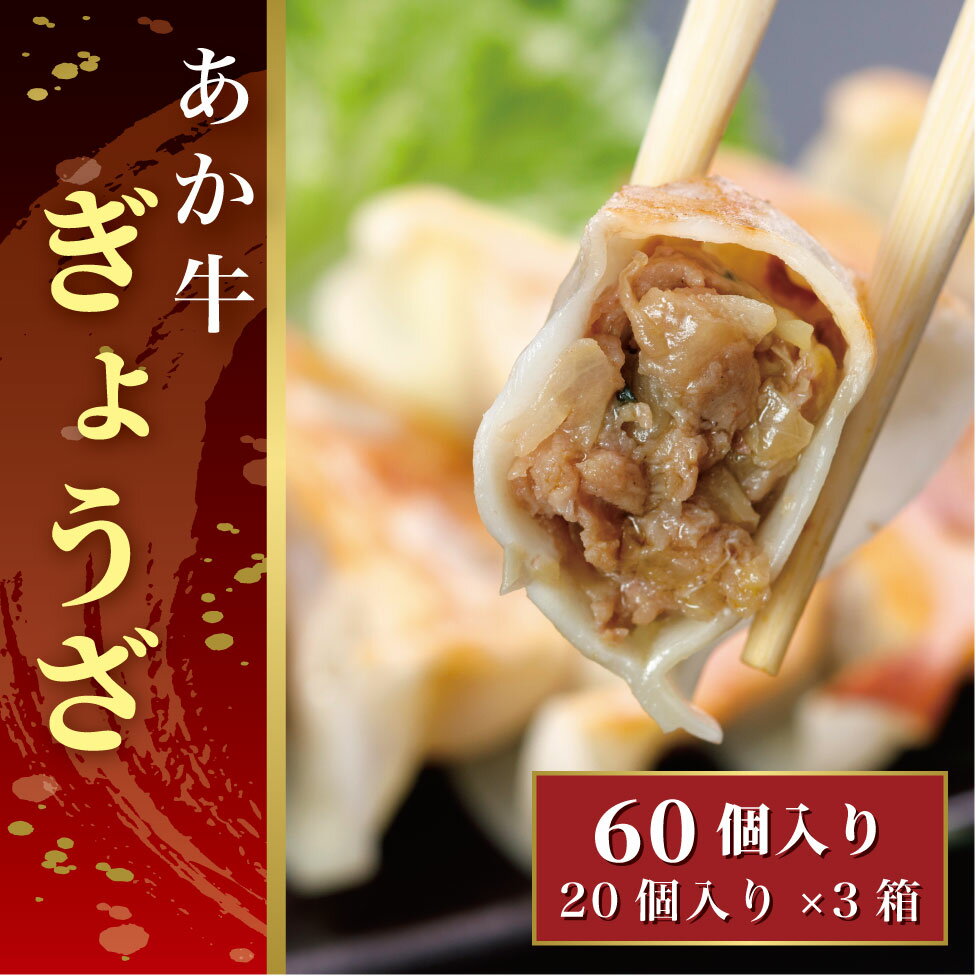 【ふるさと納税】熊本和牛あか牛ぎょうざ 60個（あか牛ぎょうざ20個入り×3箱）