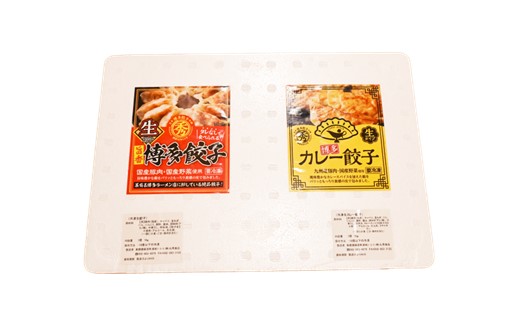 A1539.博多餃子40個+博多カレー餃子ミックスセット