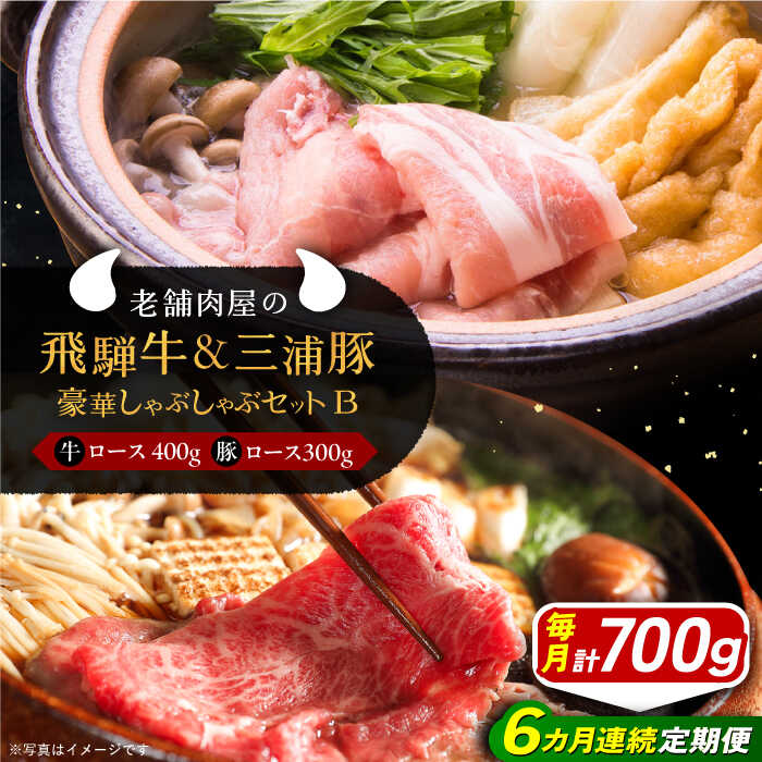 【ふるさと納税】【6回定期便】 牛肉 飛騨牛ロース400g 三浦豚ロース300g 豪華しゃぶしゃぶセットB 各種類1パック 和牛 国産 霜降り 肉 にく 牛肉 国産 和牛 産地直送 贈答用 ギフト ブランド牛 岐阜県産 人気 お取り寄せ /恵那市/岩島屋[AUAJ049]
