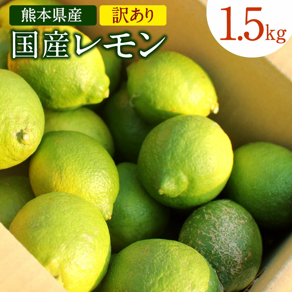 【ふるさと納税】国産レモン 訳あり 約1.5kg 県認証特別栽培 熊本県産 レモン れもん 檸檬 レモン果汁 ご家庭用 傷あり フードロス 柑橘類 九州産 国産 防腐剤・ワックス不使用 送料無料【2025年8月上旬-2026年6月上旬発送予定】