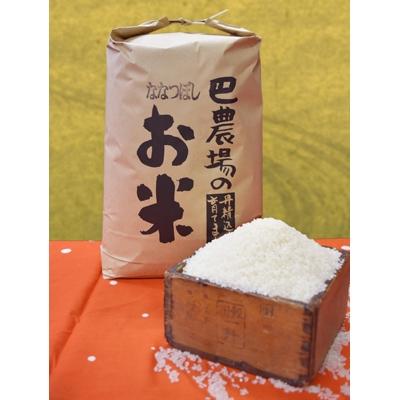 ふるさと納税 江別市 巴農場のななつぼし精米 10kg