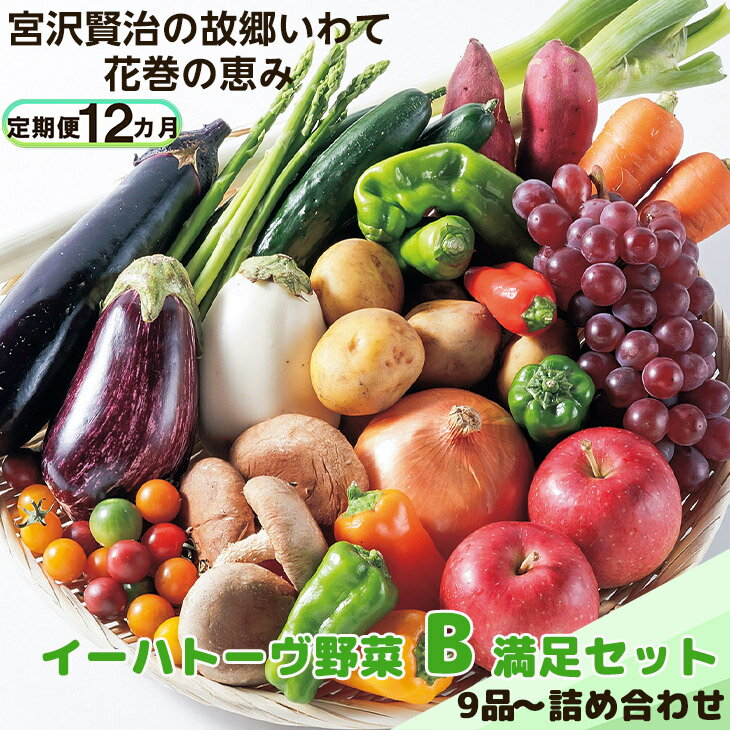 【ふるさと納税】】《定期便12ヶ月》 イーハトーヴ野菜B 満足セット 9品～ ふるさと納税 野菜 定期便 お楽しみ 旬 冷蔵