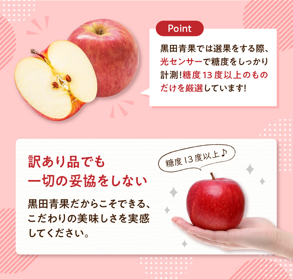 【2027年1月後半発送】 りんご 約5kg サンふじ 【ちょっと訳あり】 青森県産
