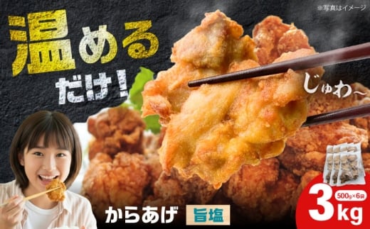 からあげ 旨塩味　3kg（単品）【から太郎】 [BDBC004-2]