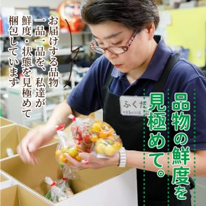 野菜【旬のお野菜大満足セット】【A8-040】