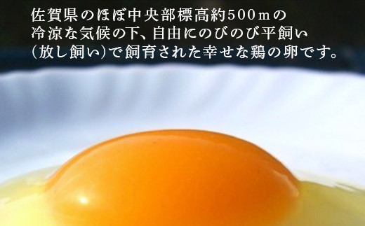 自由にのびのび平飼い（放し飼い）で飼育された幸せな鶏の卵です。
一度、ご賞味ください。