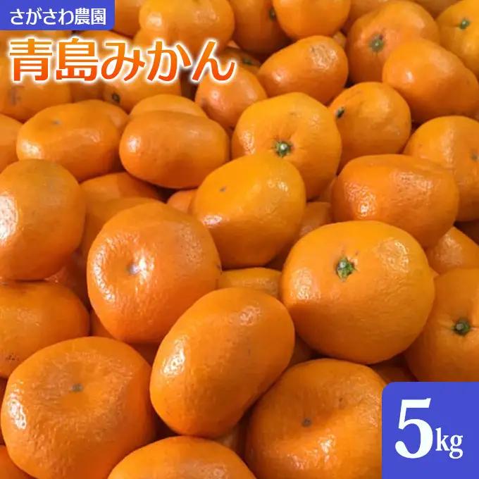 青島みかん5kg | 湯河原町 みかん 柑橘 旬 青島みかん 5kg フルーツ