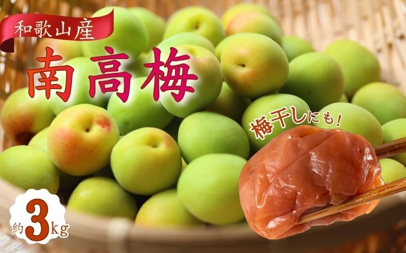 
                  【和歌山名産】南高梅約3kg（サイズ混合）・秀品【2026年6月上旬～2026年6月下旬頃に順次発送】/梅 うめ 名産 シロップ漬け 梅酒 栽培 朝採り 青梅【TM175】【TM92183-tec939B】
                