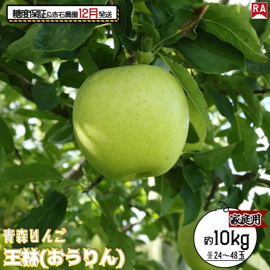 【ふるさと納税】りんご 【 12月発送 】 13度糖度保証 家庭用 王林 約 10kg 【 弘前市産 青森りんご 果物 フルーツ 食後 デザート 旬の果物 旬のフルーツ シャキシャキ みずみずしい 】　お届け：2025年12月1日～2025年12月27日