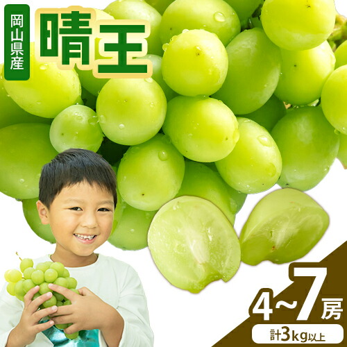 【2026年先行予約】シャインマスカット【晴王】 岡山県産 4～7房(計3kg以上) 株式会社Myself《2026年9月上旬-10月下旬頃出荷》マスカット 送料無料 岡山県 浅口市 ぶどう フルーツ 果物 贈り物 ギフト